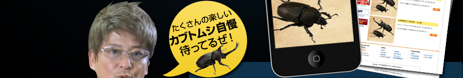 たくさんの楽しいカブトムシ自慢待ってるぜ！